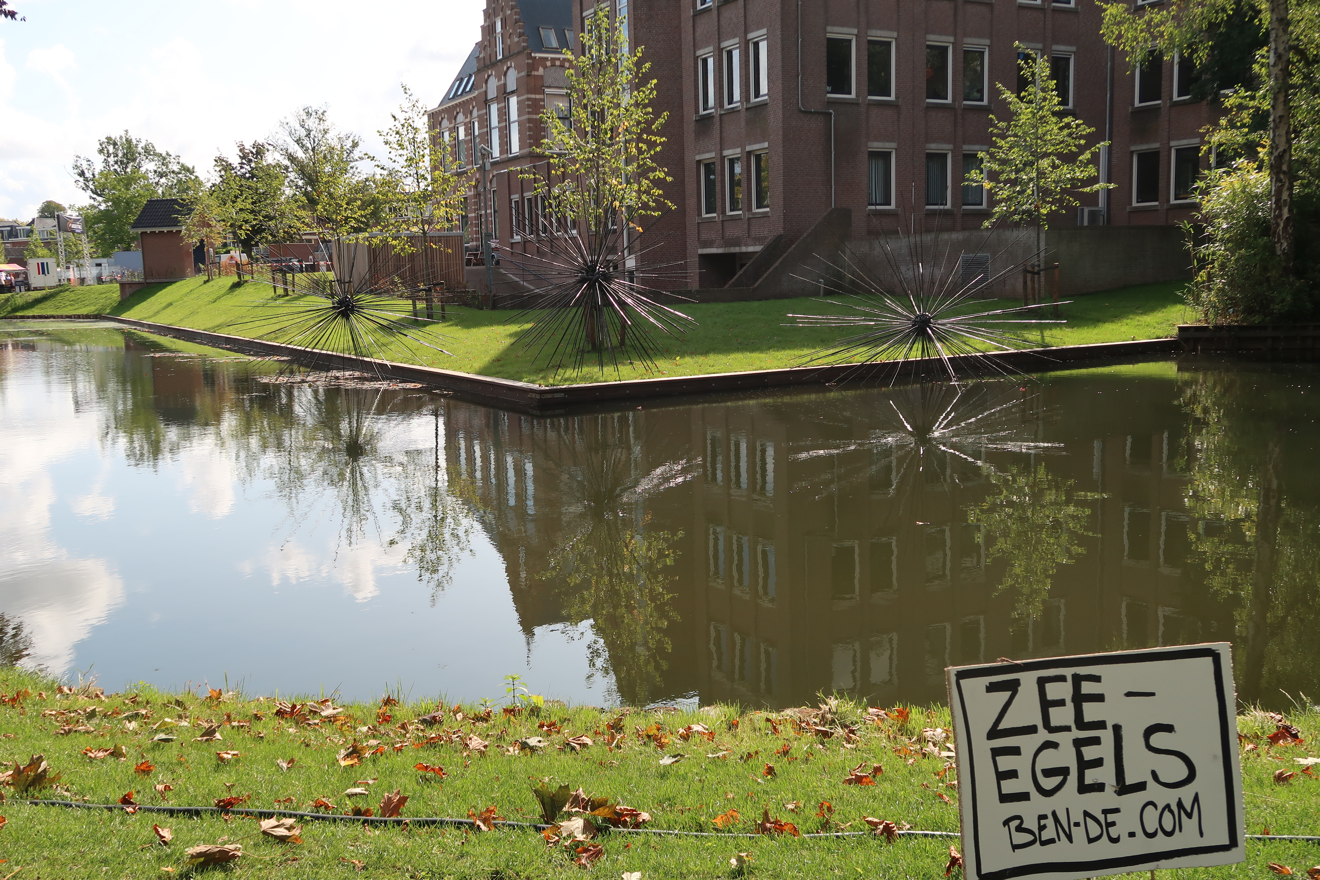 Zee-egels aan het westdampark